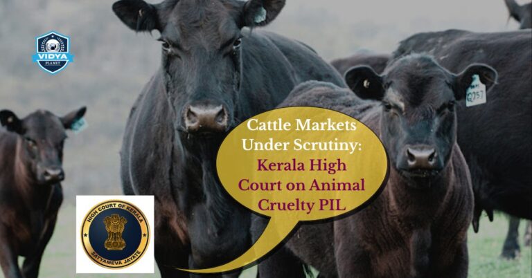 Cattle